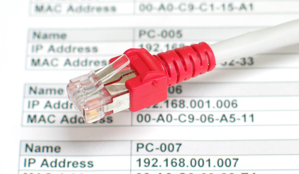 câble internet sur une feuille avec différentes adresses IP